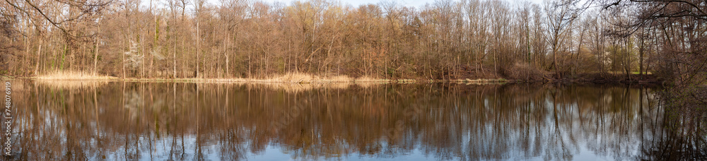 Lake among the forest overgrown with reeds, bushes and trees, colorful autumn. Lake among the forest overgrown with reeds, bushes and trees, colorful autumn.