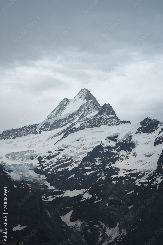 snow covered mountains