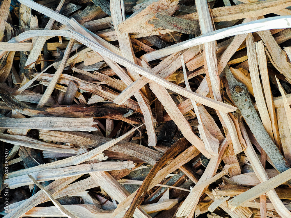 close up of a pile of wood close up of a pile of wood