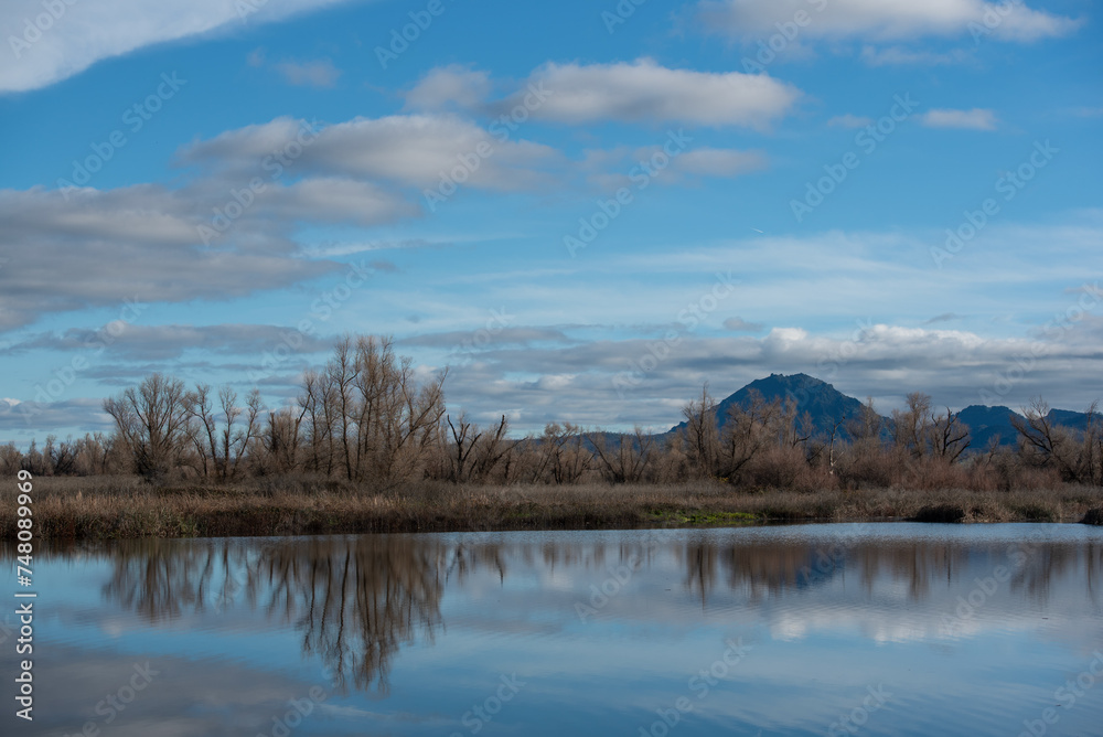 Gray Lodge Wildlife Area landscape with a view of the Sutter Buttes, reflections of willow trees in the water and variable clouds in the sky copy space 
