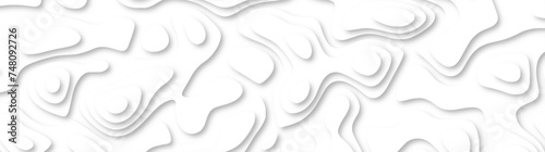 3d render, abstract white paper background. Paper cut vector art background banner texture. multi layer cutout geometric pattern on vector, Abstract soft white background with waves.