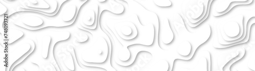 3d render, abstract white paper background. Paper cut vector art background banner texture. multi layer cutout geometric pattern on vector, Abstract soft white background with waves.