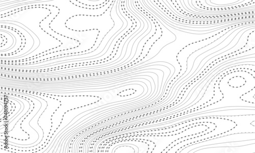 White paper wave curve relief geometric wave grid line background. . Abstract wavy topographic map and curved lines background. Vector illustration.