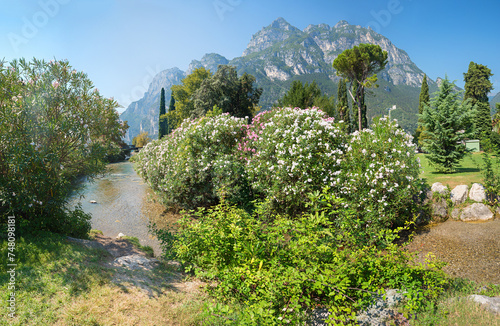 beautiful park landscape Parco dell Ora, Riva del Garda, with blooming oleander bushes © SusaZoom