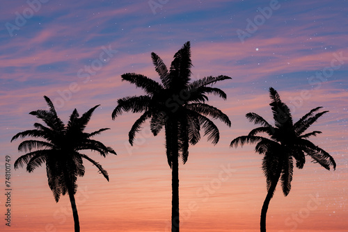 Silhouette of Palm Trees Against a Vibrant Sunset Sky