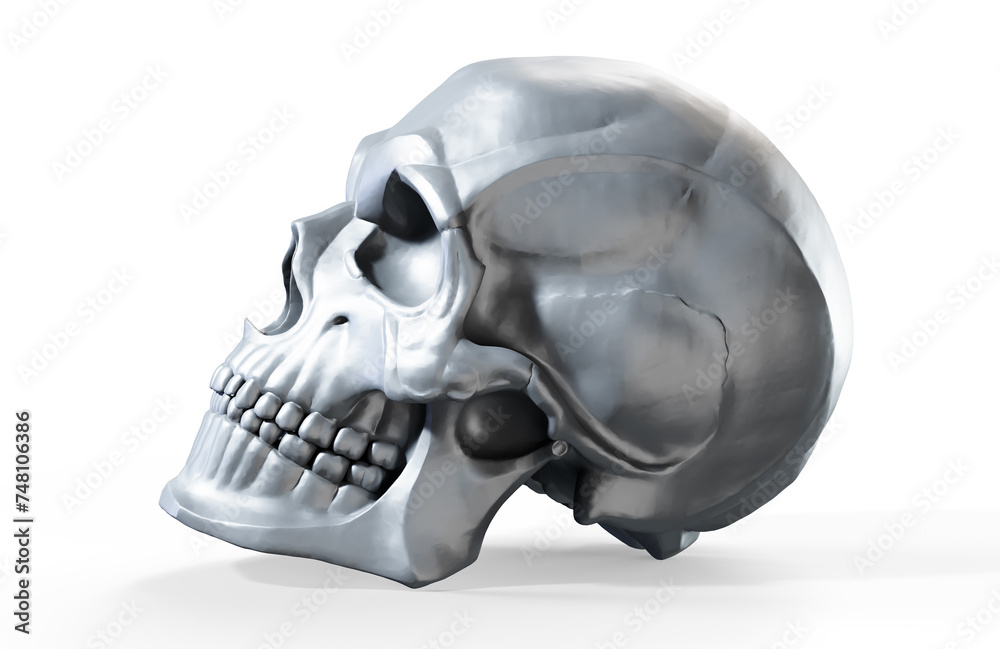Obraz premium 3D render of metallic human skull isolated on white background