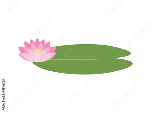 スイレンの葉_ピンクの花