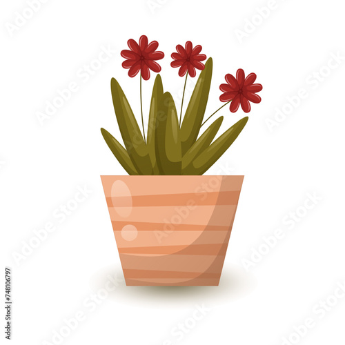 Flower with red petals in an orange pot. Deciduous house plants. Vector illustration with shadow and gradient. Icon, single design.