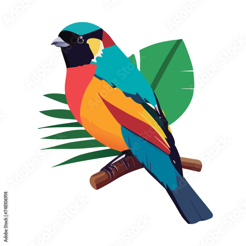Ave tropical colorida vector