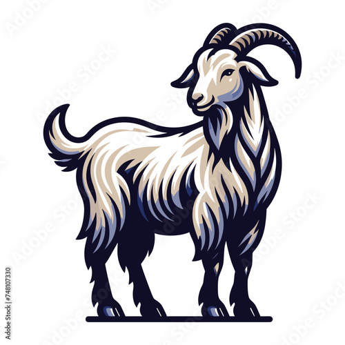 Goat full body vector illustration, farm pet, animal livestock, for butchery meat shop and dairy milk product, design template isolated on white background