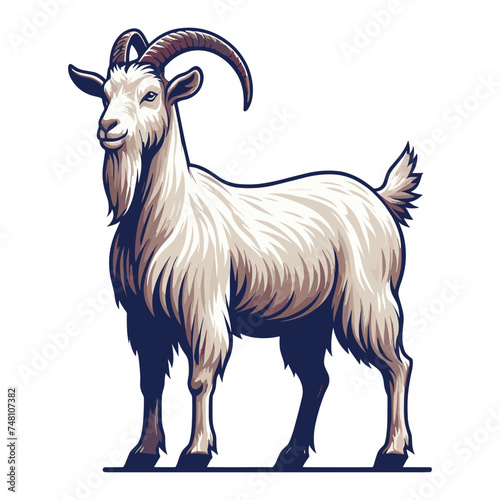 Goat full body vector illustration, farm pet, animal livestock, for butchery meat shop and dairy milk product, design template isolated on white background