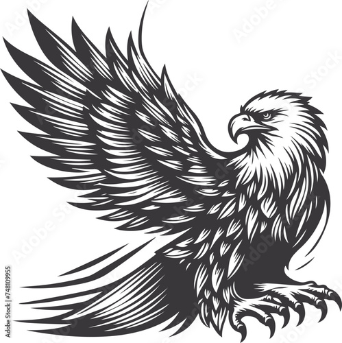A Black And White Eagle Vector