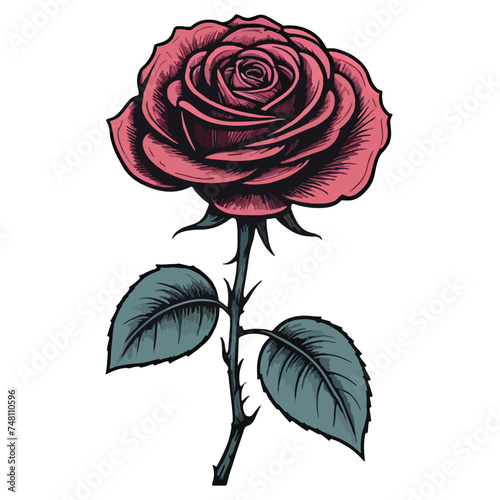 vector of rose in vintage style