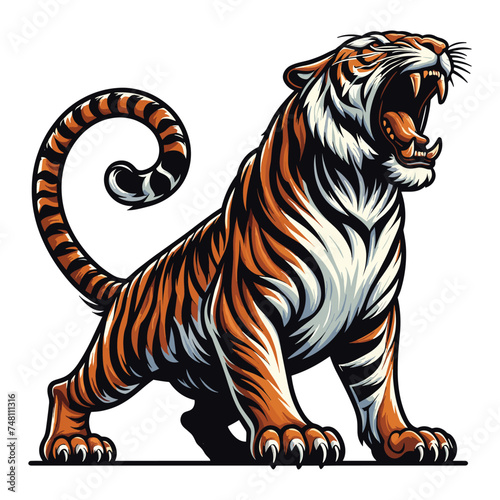 Wild roaring tiger full body vector illustration, zoology illustration, animal predator big cat design template isolated on white background