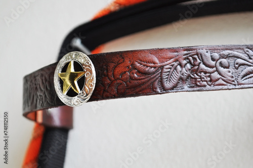 riding reins equestrian harness equipment Brown leather goods decorated with engraved brass buttons.
