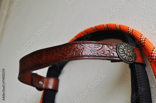 riding reins equestrian harness equipment Brown leather goods decorated with engraved brass buttons.
