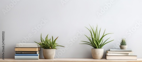 A wooden shelf filled with various books and potted plants. The books are neatly arranged next to the green foliage of the plants  creating a harmonious display.