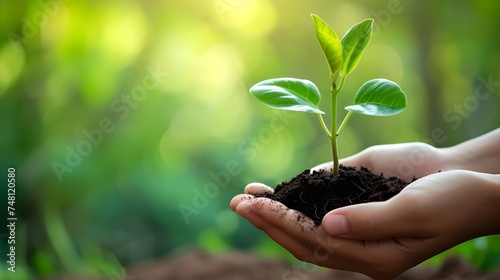 Hand holding fresh green seedling new life begins