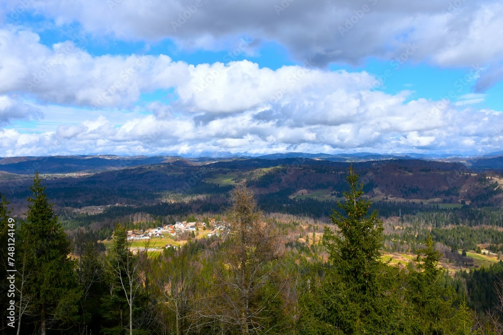 View of forested landscape of Notranjska, Slovenia and a village near Logatec