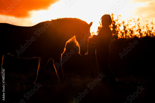 Silhouette of horse  sunset colours  black  yellow and orange.