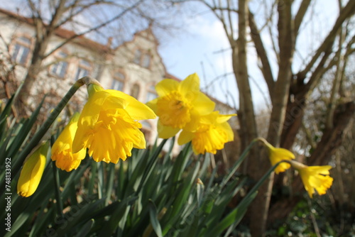 easterbell photo