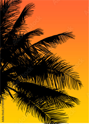 ramas, arboles, siluetas, vegetacion, roble, bosque, paisaje, vector, hojas, abstracto, sauce, tronco, malesa, pegatina
