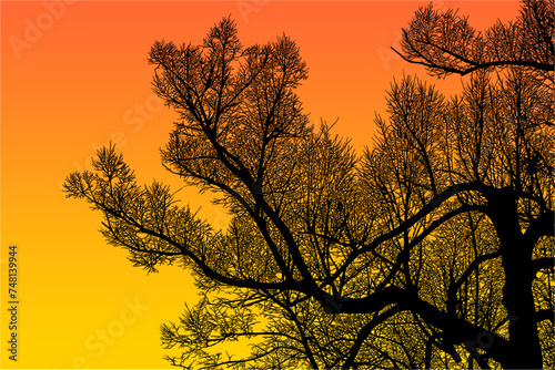 ramas, arboles, siluetas, vegetacion, roble, bosque, paisaje, vector, hojas, abstracto, sauce, tronco, malesa, pegatina