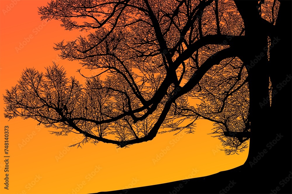 ramas, arboles, siluetas, vegetacion, roble, bosque, paisaje, vector, hojas, abstracto, sauce, tronco, malesa, pegatina ramas, arboles, siluetas, vegetacion, roble, bosque, paisaje, vector, hojas, abstracto, sauce, tronco, malesa, pegatina