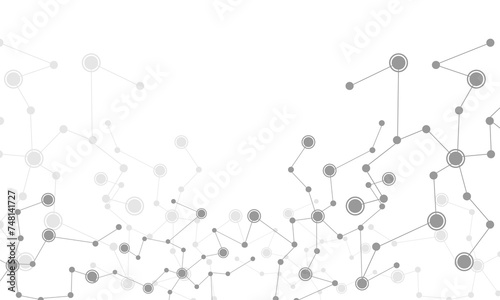 Abstract grey connecting dots and lines connection science on white with blank space design technology background vector