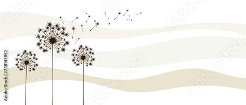 Vector illustration dandelion time. Black Dandelion seeds blowing in the wind. The wind inflates a dandelion isolated on white background.