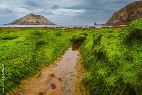 Green carpet