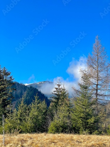Picturesque landscape on the top of the mountain