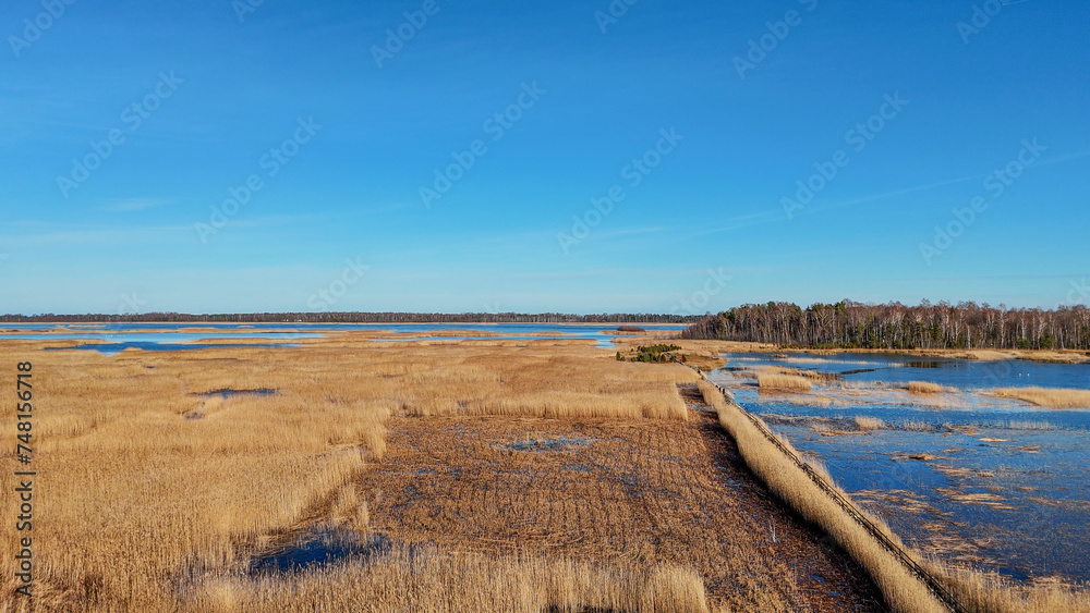 Fototapeta premium Wooden Bords Trail Through the Kaniera Lake Reeds Aerial Spring Shot Lapmezciems, Latvia. Frozen Lake and Baltic Sea in the Background. Early Spring in Latvia, Kemeri National Park. Slow Motion Shot
