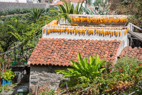 casa de campesinos en el pueblo de Hermigua en la isla de La Gomera, Canarias