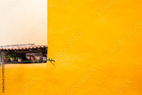 Yellow Flat Pluster Wall Texture photo