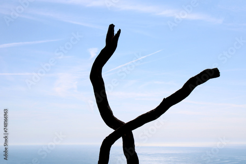 Sagoma di forcella di legno stagliata contro il cielo con  sfondo mare photo