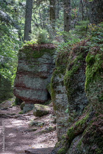 Mont Sainte Odile, France - 09 11 2020: Path of the Gauls. View of rocks and trees . photo