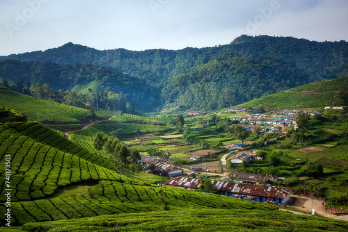 Nature background green environment -Tea Garden at Kotagiri hill India. photo