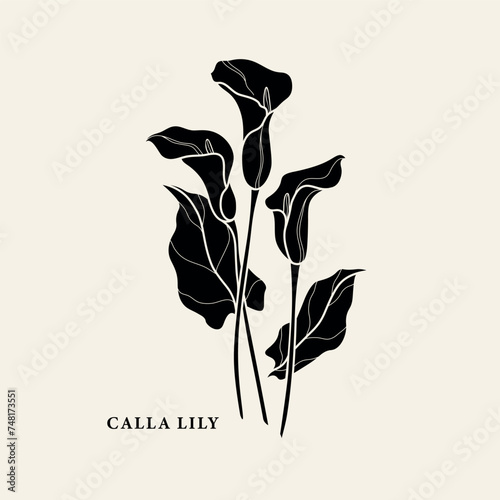 Flat vector calla lily flower illustration