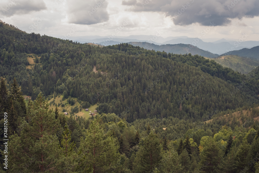 Obraz premium Cottage surrounded by forest high in the mountain, Tara, Serbia