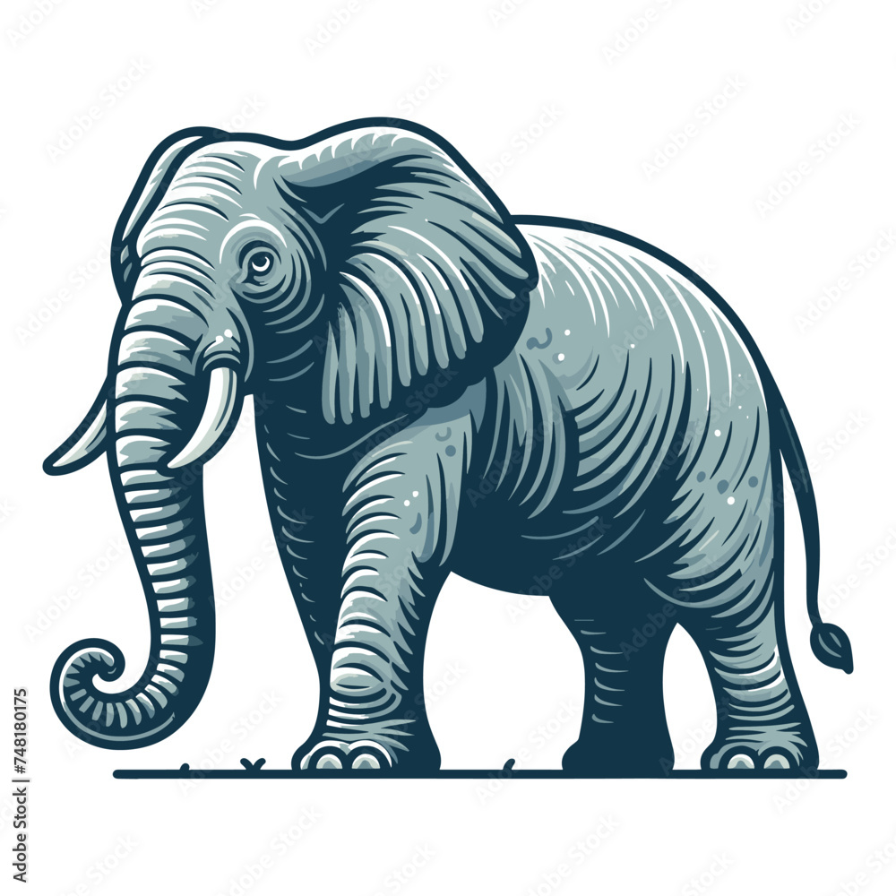 Elephant full body vector illustration, zoology illustration, African safari wild animal design template isolated on white background