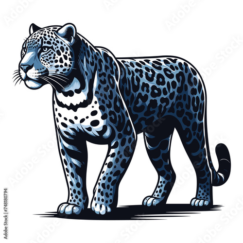 Wild jaguar leopard full body vector illustration, zoology illustration, animal predator big cat design template isolated on white background