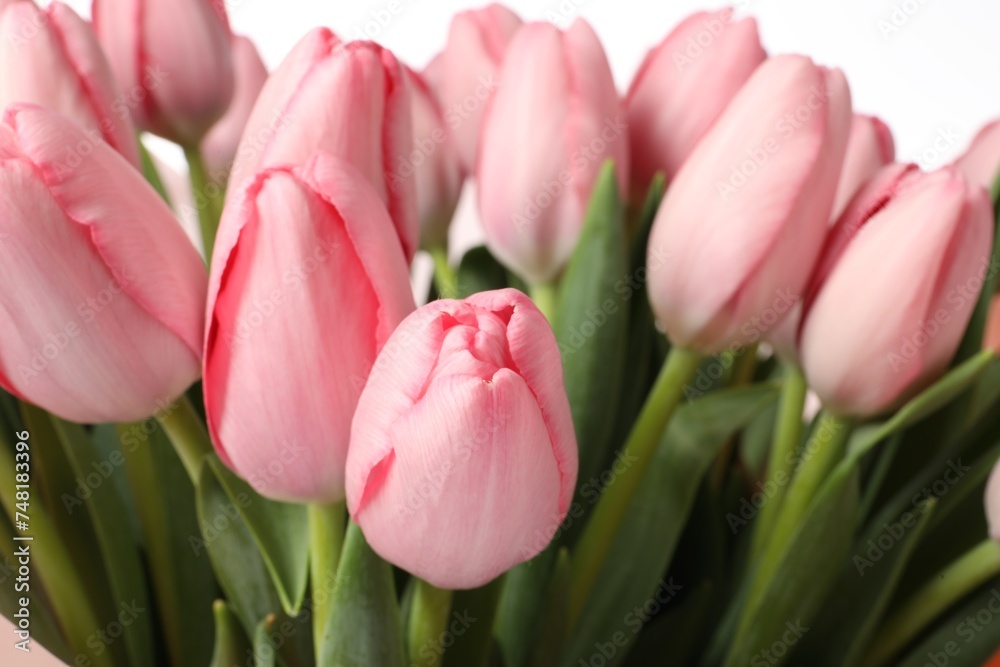 Bouquet of beautiful pink tulips on white background, closeup Bouquet of beautiful pink tulips on white background, closeup