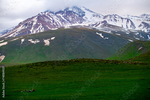 Verdant Foothills and Snow-Capped Peaks of Sabalan, Ardabil, Iran