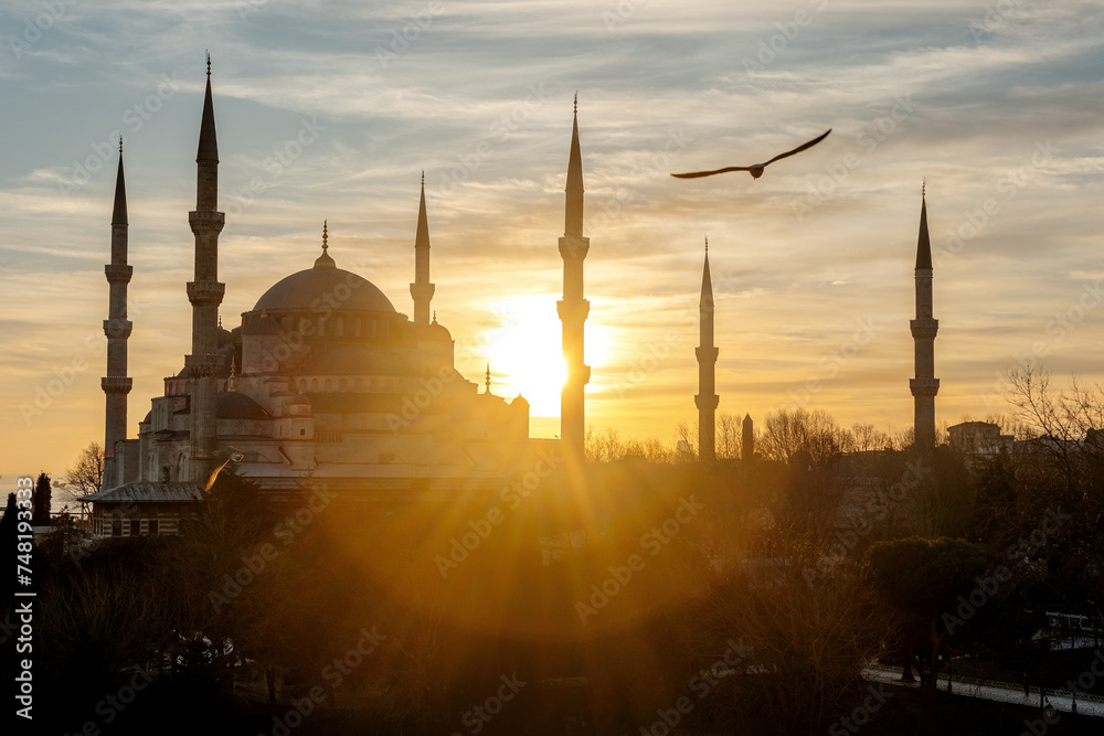 Sunset over The Blue Mosque or Sultanahmet Mosque with seagulls in Istanbul, Turkey.