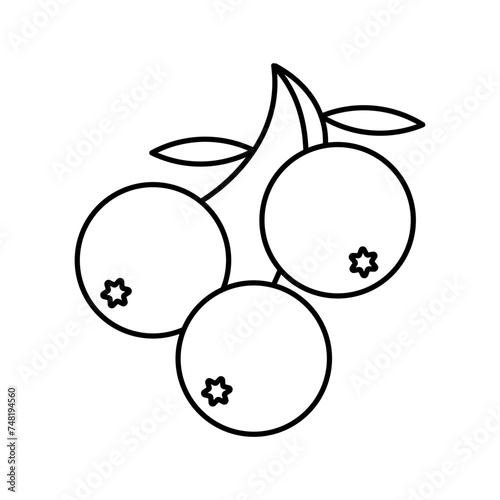 berries icon vector illustration eps