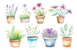 Set of multi-colored icons for a flower shop website on a white background