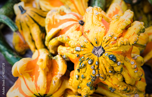 Colourful Mixture Of Gords On Sale In An Amish Store, Tennessee photo