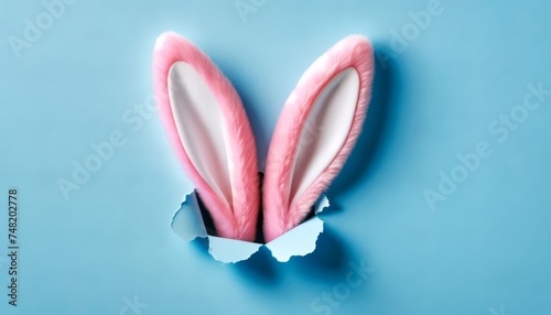 Furry pink bunny ears poking through blue background