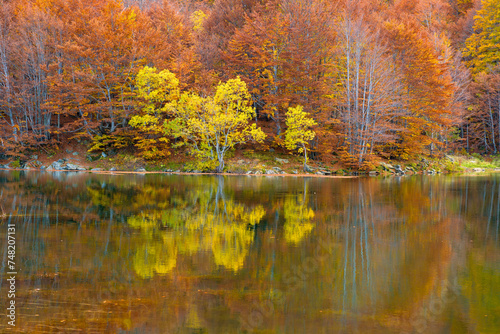 Lago alpino con sfondo di alberi colorati in autunno